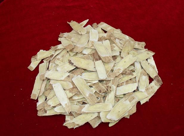 Radix Angelicae sinensis root slices angelica root  dang gui Lovage